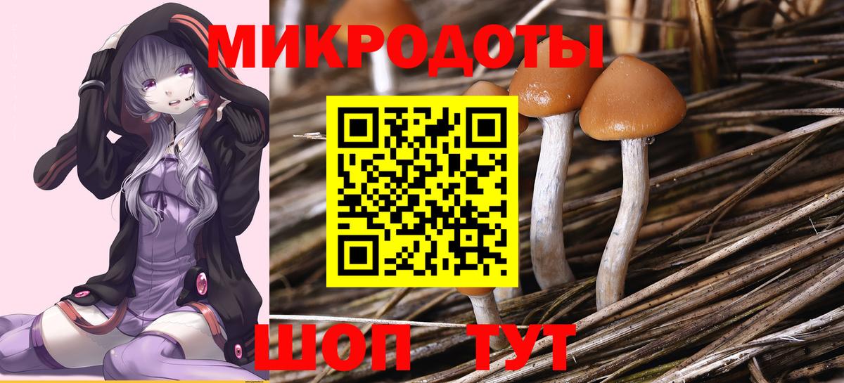 Улан-Удэ  наркота  Вход с VPN  Галлюциногенные грибы MAGIC MUSHROOMS  Галлюциногенные грибы прущие грибы 